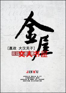 [嬴政+大汉天子]金屋txt下载