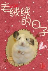 []ë޵txt