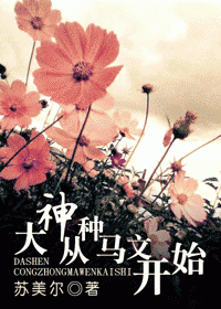大神从种马文开始