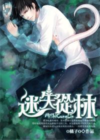迷失丛林txt下载