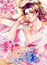 重生之极品男妾