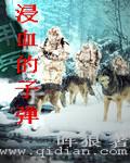浸血的子弹(狼之佣兵团)txt下载