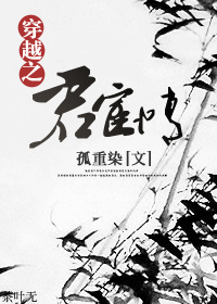 穿越之君宦情txt下载