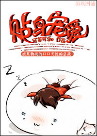 贴身宠爱
