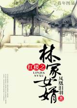 红楼之林家女婿