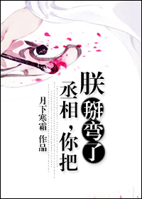 丞相,你把朕掰弯了