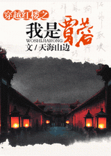 穿越红楼之我是贾蓉