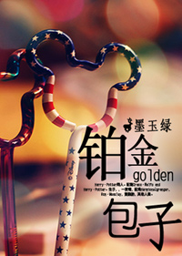 hp之铂金包子