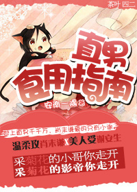 直男食用指南