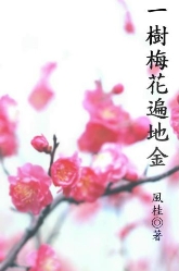 一树梅花遍地金txt下载