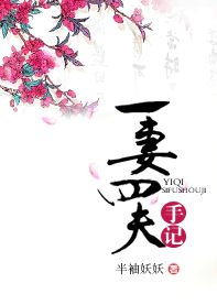 一妻四夫手记