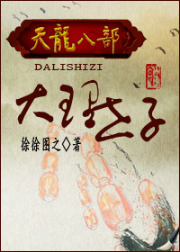 天龙八部之大理世子