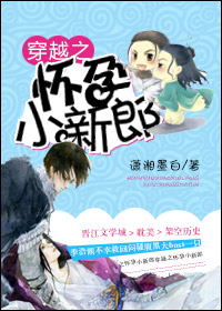 穿越之怀孕小新郎