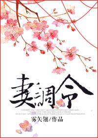 妻调令txt下载