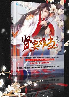 贤妻难当txt下载