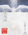 兽天使txt下载