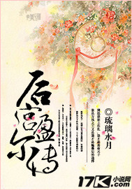 后宫盈尔传txt下载