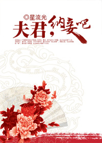 夫君,纳妾吧txt下载