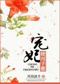 宠妃使用手册txt下载