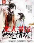 仙途情坎txt下载