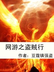 网游之盗贼行txt下载