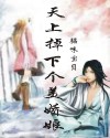 天上掉下个美娇娘