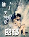 通往天堂的密码