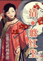 飞跃时空守护爱(清穿)txt下载