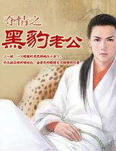 夺情之黑豹老公