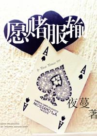 愿赌服输txt下载