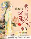 我与白莲花的二三事txt下载