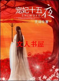 宠妃十五夜文