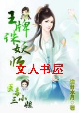 王牌痞妃:医毒三小姐txt下载