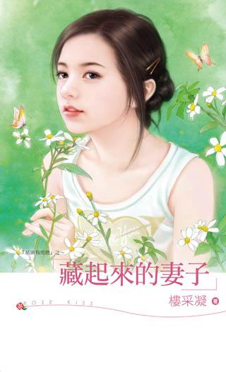 藏起来的妻子txt下载