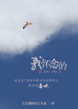 我怀念的