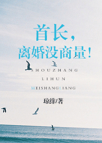 首长,离婚没商量!