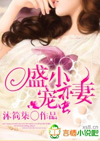 盛宠小蛮妻