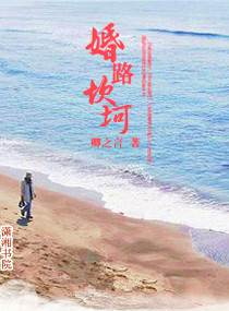 婚路坎坷txt下载