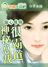 偷心规则:神秘总裁很霸道!