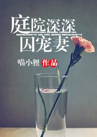 庭院深深囚宠妻txt下载