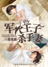 军火王子杀手妻txt下载