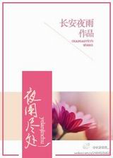 夜阑尽处txt下载