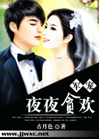 军宠,夜夜贪欢