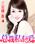 �ܲ�˽�а�