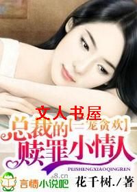 一宠贪欢,总裁的赎罪小情人