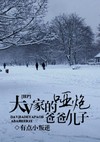 大V家的哑炮爸爸儿子