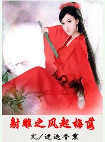 射雕之风起梅落txt下载