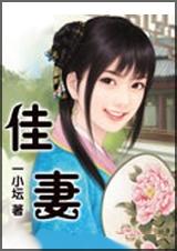 佳妻txt下载
