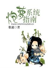 炮萝系统指南txt下载