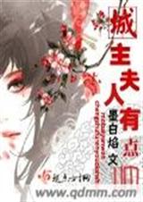 城主夫人有点帅txttxt下载